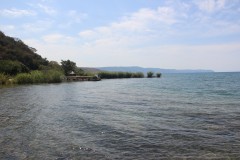 IMG_8644