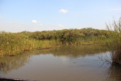 IMG_8649-Mweru-Wantipa-NP-Lake-Mweru-Wantipa