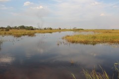 IMG_8654