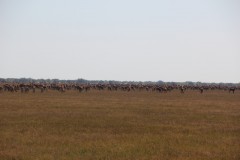 IMG_8862