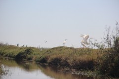 IMG_8881