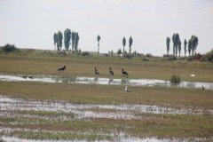 IMG_8889