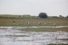 IMG_8891