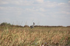 IMG_8933