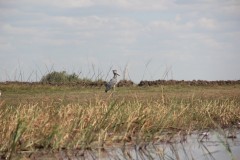 IMG_8935