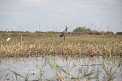 IMG_8936