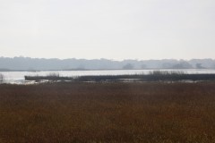 IMG_9032