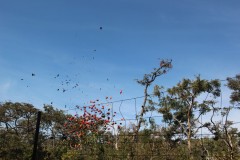 IMG_9067