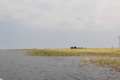 IMG_9248