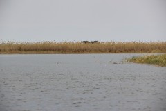 IMG_9257