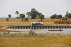 IMG_9267