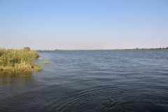 IMG_9276
