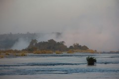 IMG_9328