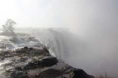 IMG_9364