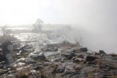 IMG_9372