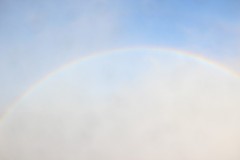 IMG_9387