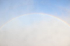 IMG_9388
