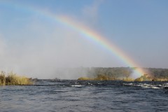 IMG_9392