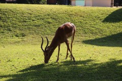 IMG_9401