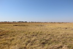 IMG_9409-Kazuma-Pan-NP