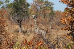 IMG_9415