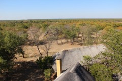 IMG_9416-Hwange-NP-Robins-Camp