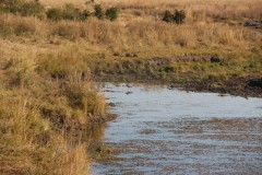 IMG_9423-Hwange-NP-Little-Toms-Hide