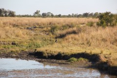 IMG_9425