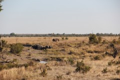 IMG_9433