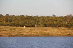 IMG_9435-Hwange-NP-Deteema-Hide