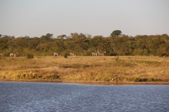 IMG_9437