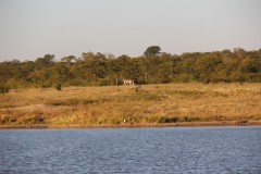 IMG_9441