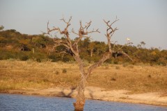 IMG_9442