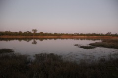 IMG_9448-Hwange-NP-Chingahobe-Dam