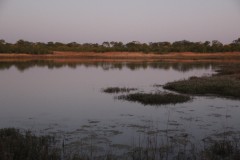 IMG_9450