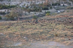 IMG_9451-Hwange-NP-Sinamatella-Camp