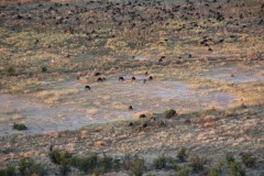 IMG_9454