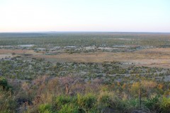 IMG_9455