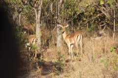 IMG_9464