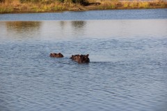 IMG_9466-Hwange-NP-Mandavu-Dam