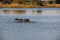 IMG_9467