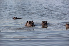 IMG_9472