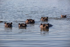 IMG_9477