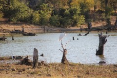 IMG_9478