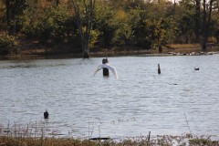 IMG_9479