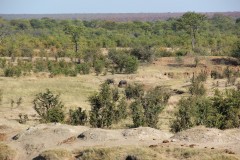 IMG_9494-Hwange-NP-Masuma-Dam