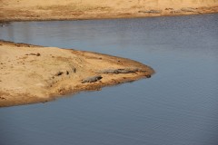 IMG_9498