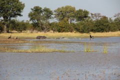 IMG_9517