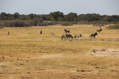 IMG_9540