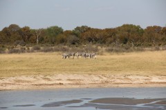 IMG_9544